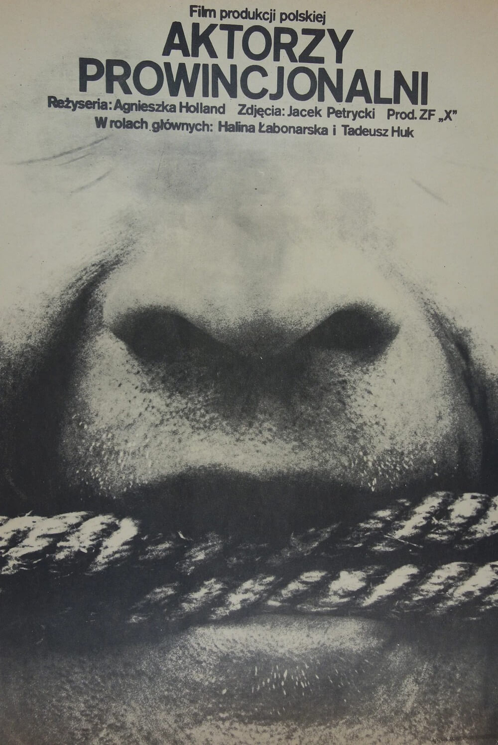plakat filmu